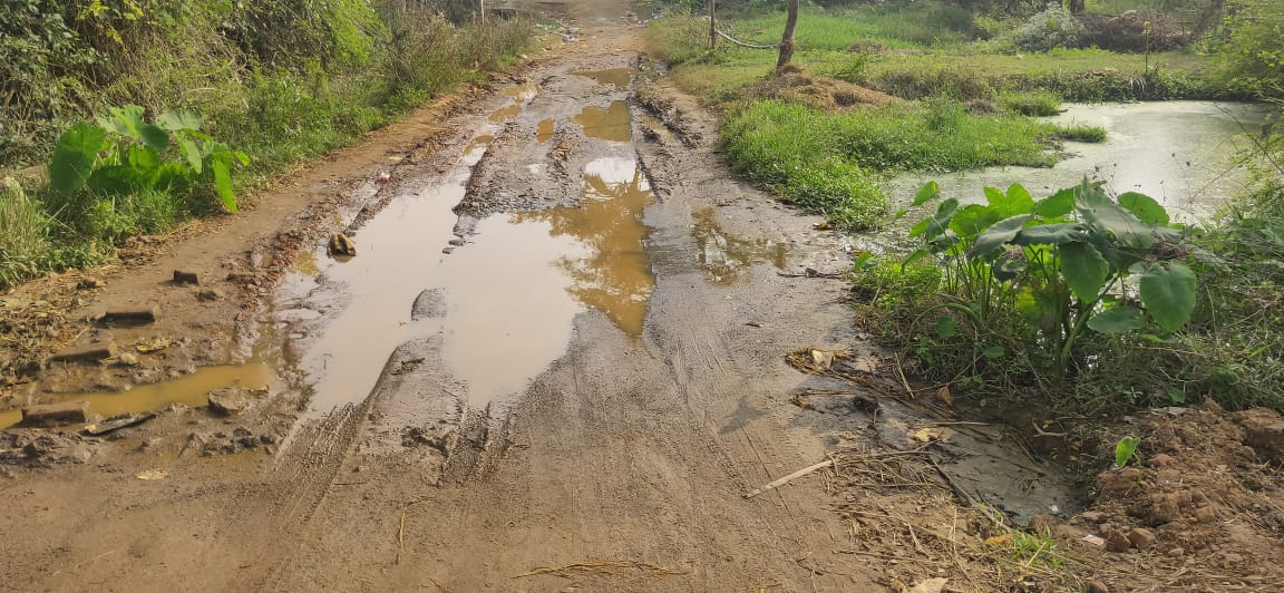 ନୂଆଗାଁ କାଳିମନ୍ଦିର ଠାରୁ ବେହେରା ସାହି ରାସ୍ତା ମଝିରେ କୃତିମ ପୋଖରି …!