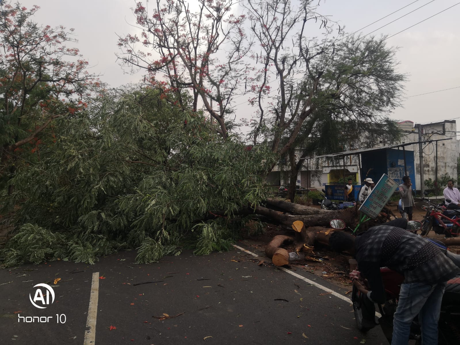 ଗୁଣପୁର ରେ କାଳବୈଶାଖୀ ର ତାଣ୍ଡବ |